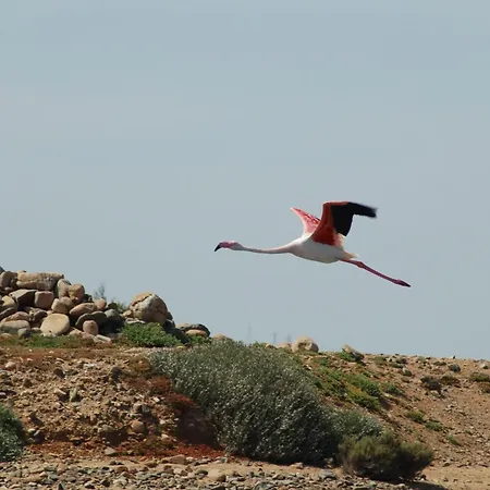 Апартаменты Due Palme - Siciliavacanza Авола